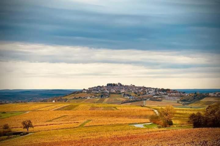 Gite Entre Vignes Et Loire Thauvenay ภายนอก รูปภาพ